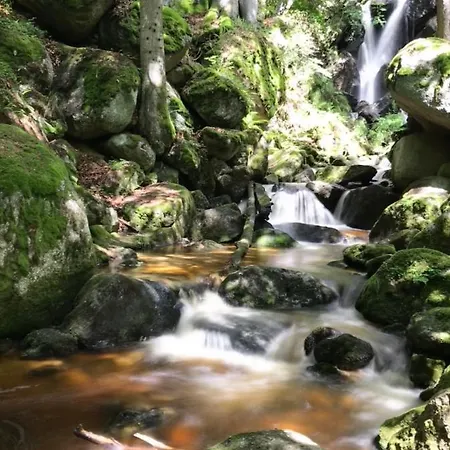 Des Gluecks - Fischl Sankt Oswald (Lower Austria)