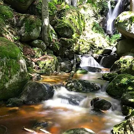 Des Gluecks - Fischl 4* Sankt Oswald (Lower Austria)