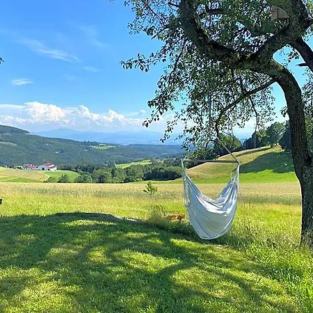 Des Gluecks - Fischl 4*
