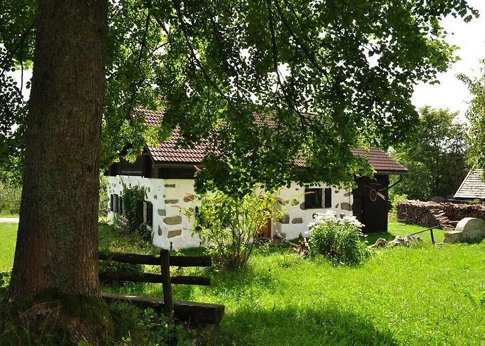 Des Gluecks - Fischl