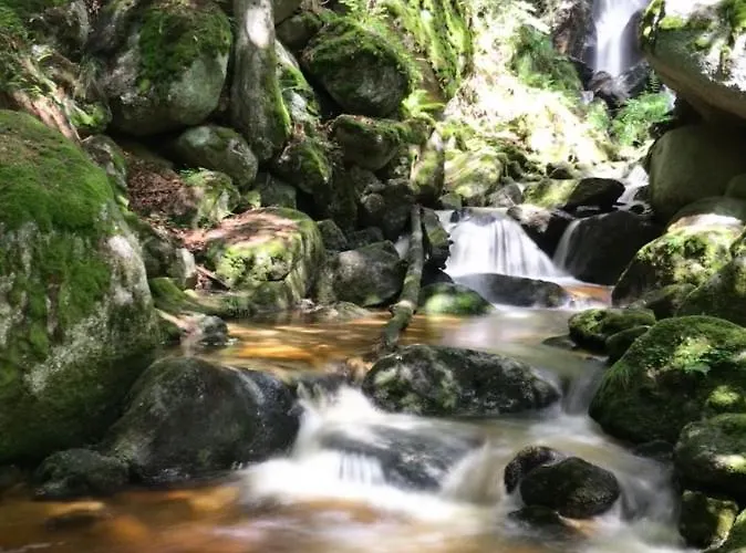 Des Gluecks - Fischl Sankt Oswald (Lower Austria)