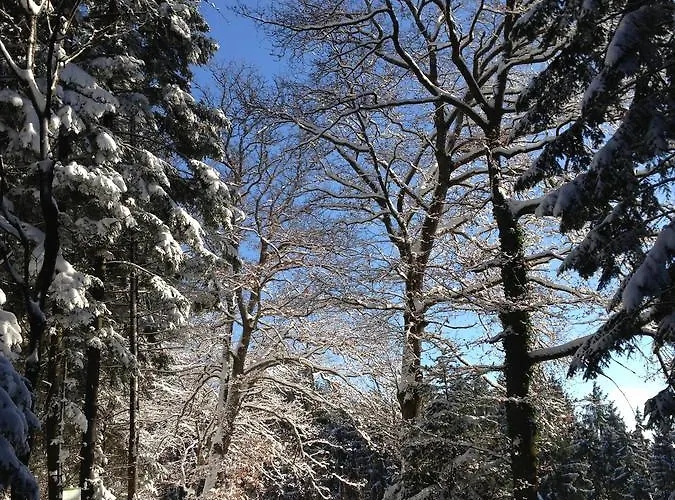 Des Gluecks - Fischl Hotel 4*