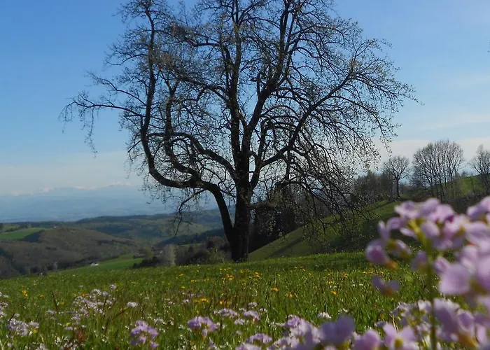 Hotel Des Gluecks - Fischl