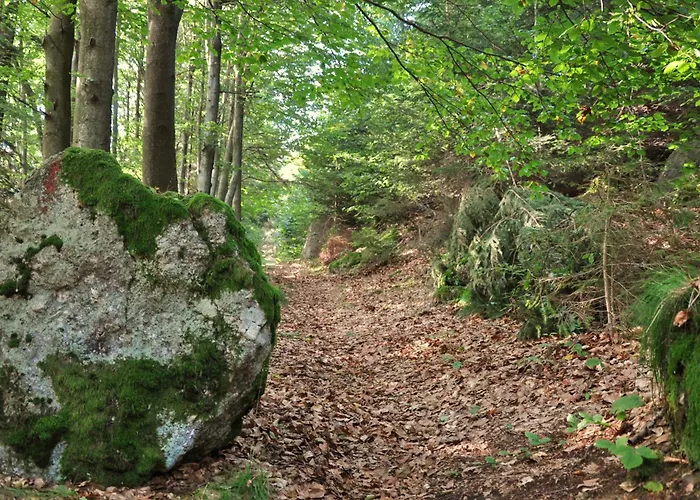 Des Gluecks - Fischl Hotel